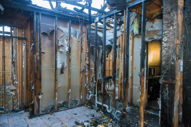 Professional Fire Damage Removal technician working in Aristocrat Ranchettes, CO